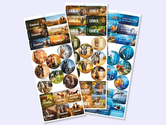 Clothing Sticker Advantage Set - Real World