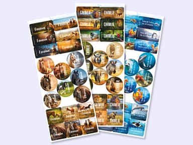 Clothing Sticker Advantage Set - Real World
