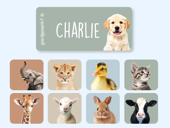 Clothing Stickers - Real World