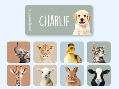 Clothing Stickers - Real World