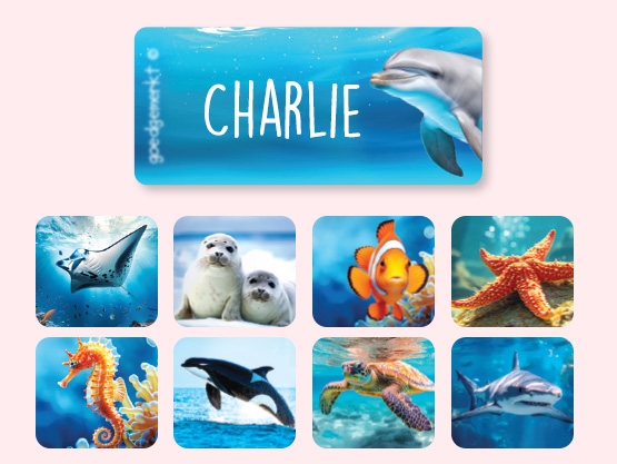 Clothing Stickers - Real World