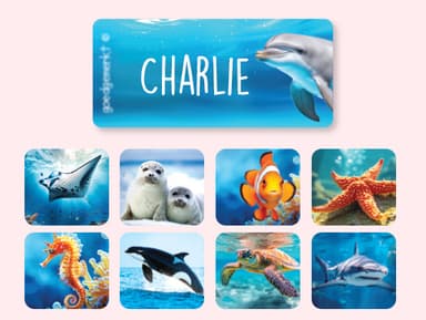 Clothing Stickers - Real World