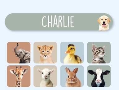 Mini Name Stickers - Real World