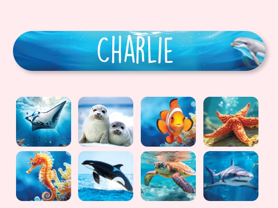 Mini Name Stickers - Real World