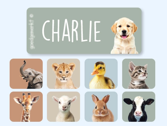 Small Name Stickers - Real World