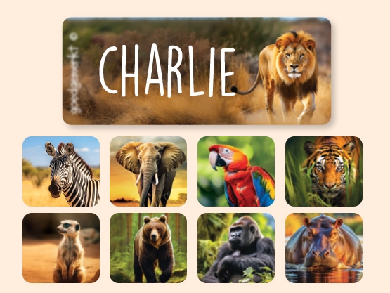 Small Name Stickers - Real World