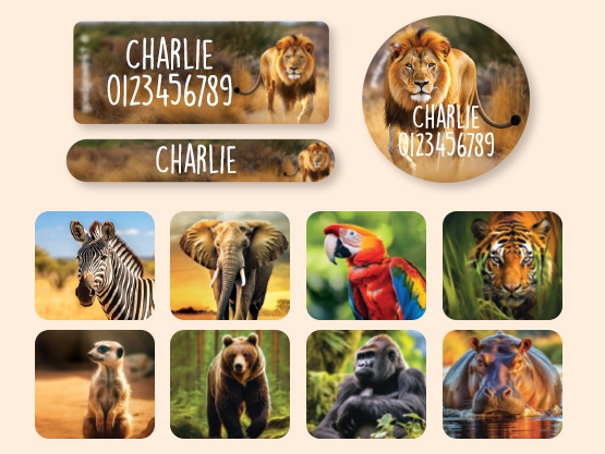 Name Sticker Value Set - Real World