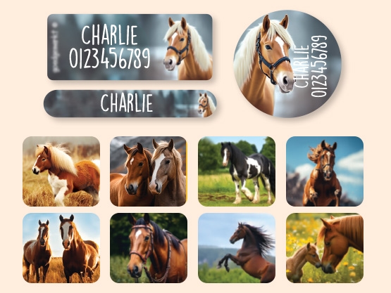 Name Sticker Value Set - Real World