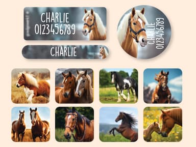 Name Sticker Value Set - Real World